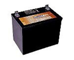 大力神 UPS 電池